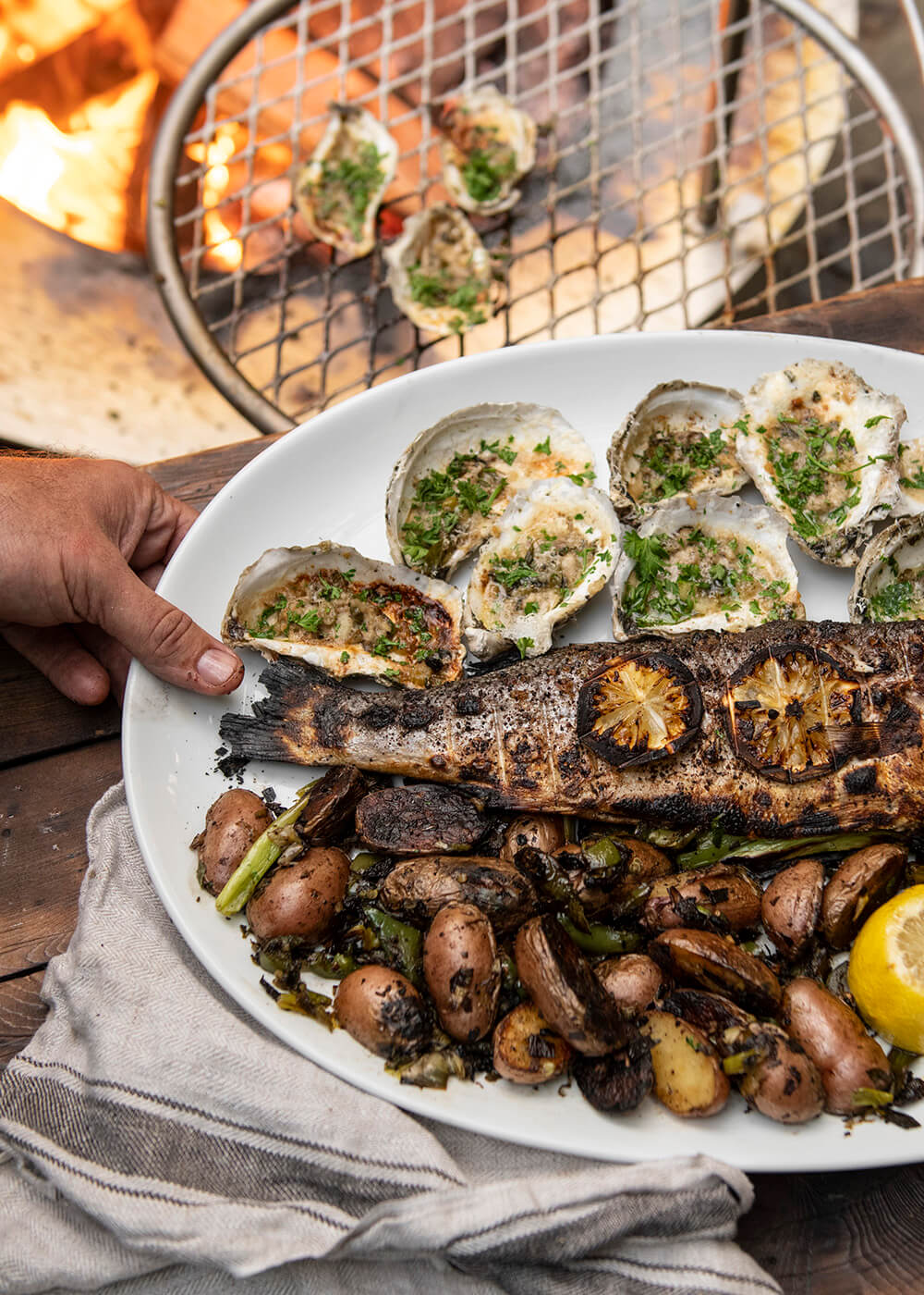 platter of freshly grilled salmon, vegetables, and oysters cooked with a Breeo fire pit