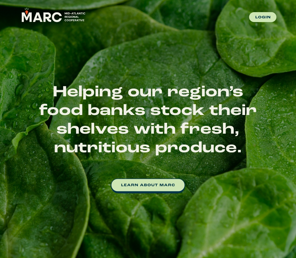 MARC custom Shopify ecommerce site, designed by Infantree