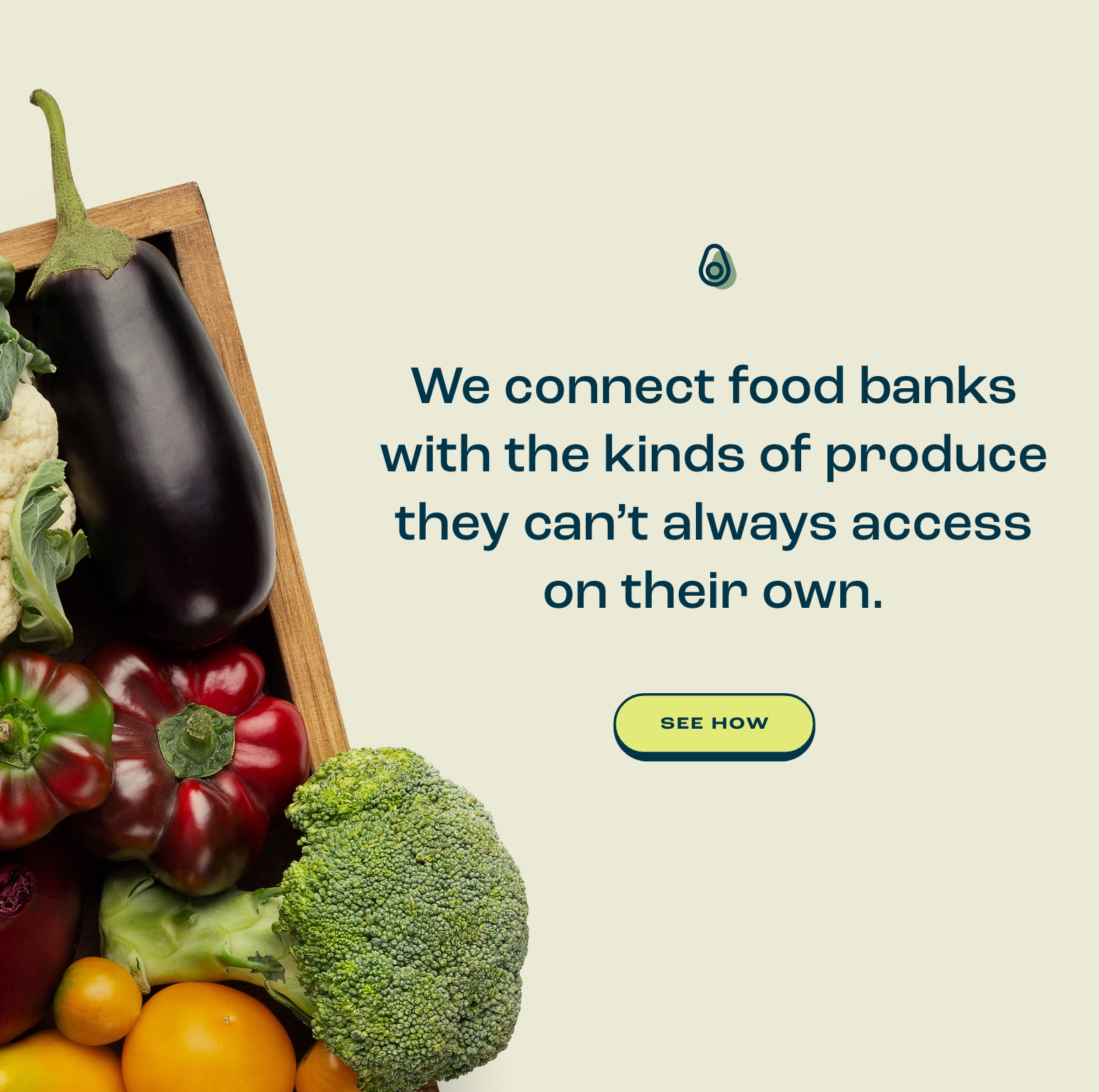 MARC custom Shopify ecommerce site, designed by Infantree