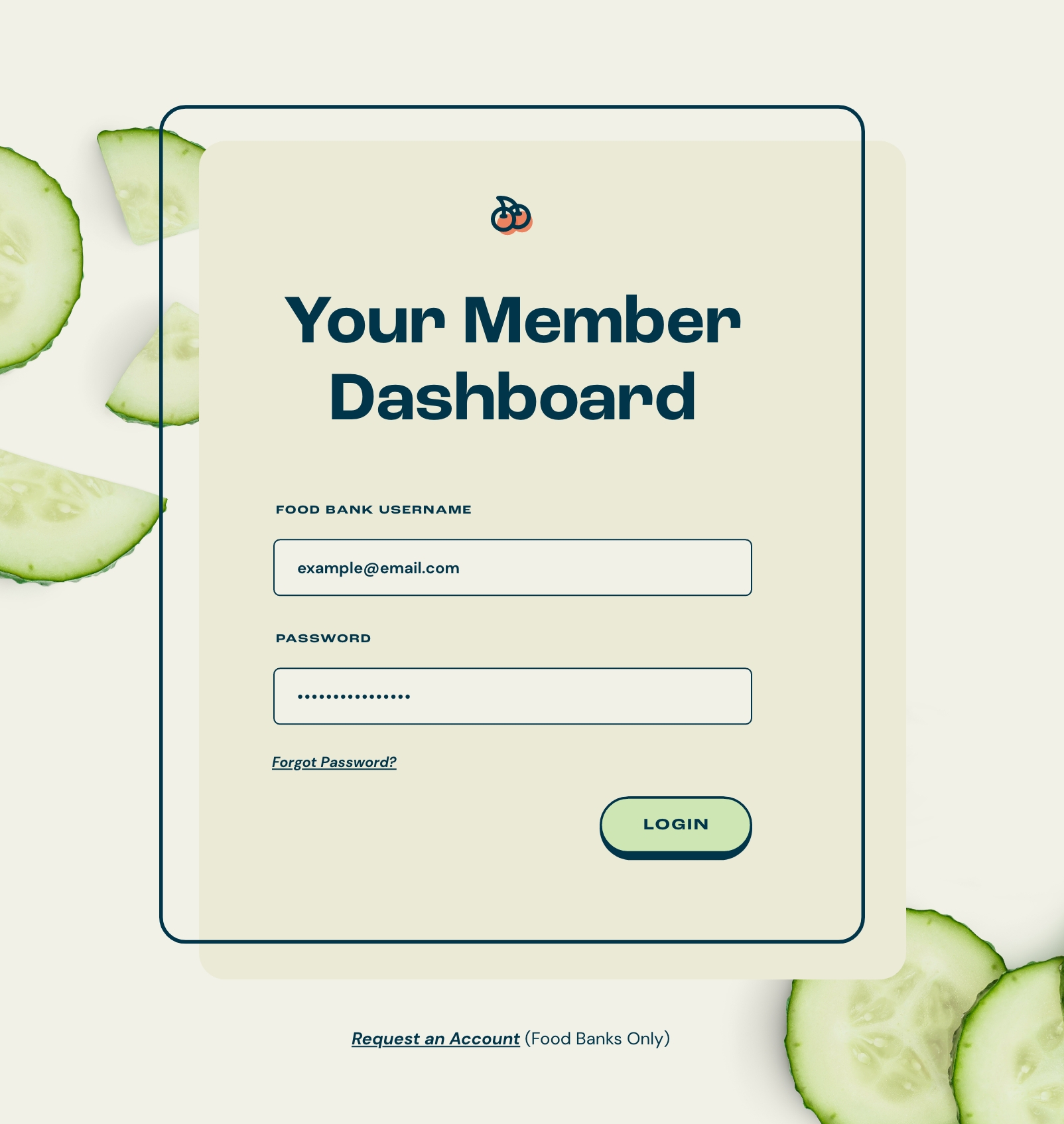 MARC custom Shopify ecommerce site, designed by Infantree