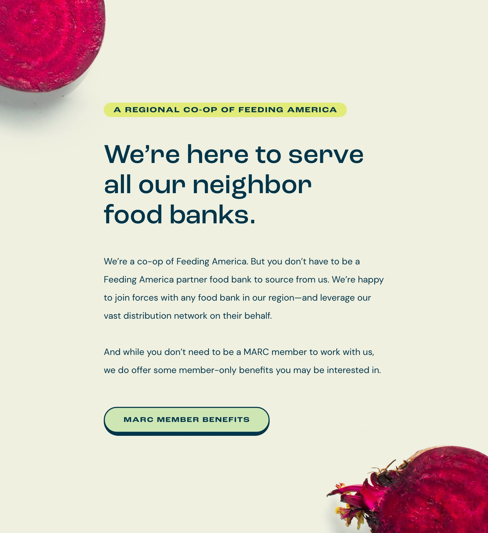 MARC custom Shopify ecommerce site, designed by Infantree
